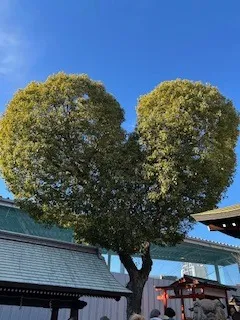 2026年よろしくお願いいたします💛